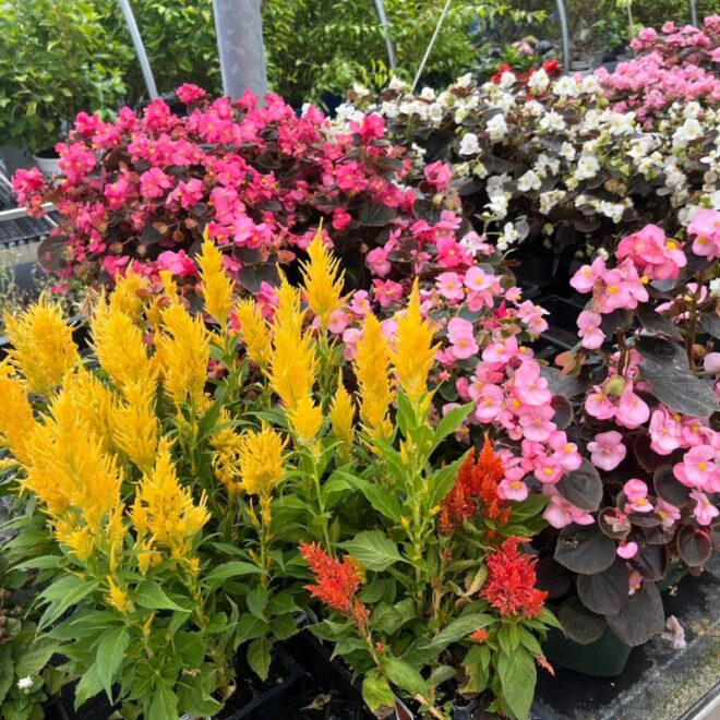 Breezy Acres Gallery-2