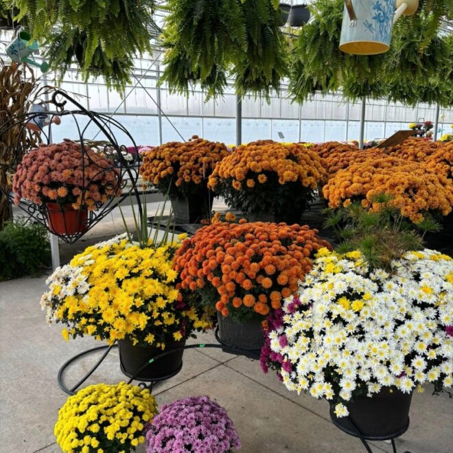 Breezy Acres Gallery-3