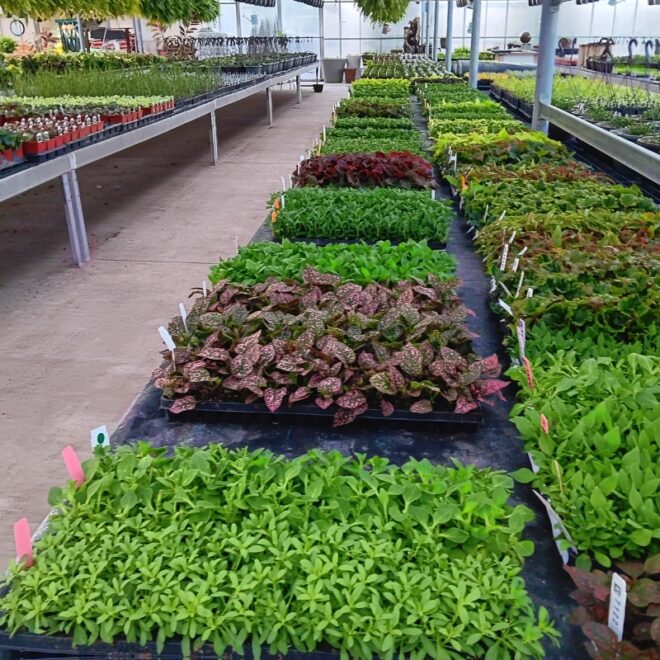 Breezy Acres Gallery-4